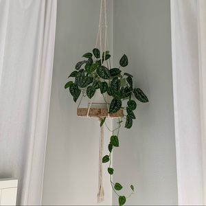 SOLD ❗️ Boho Plant Hanger